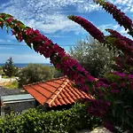 Southern Dreams Apartments